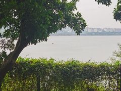 -立新湖公园