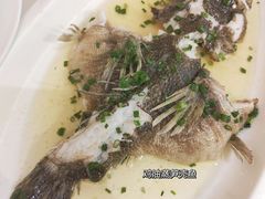 -席家花园(巨鹿花园店)
