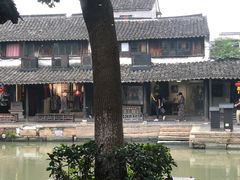 -老马家·舌尖上的西塘美食