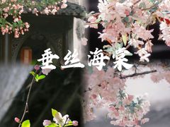 -何园