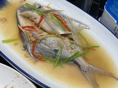 -吴记富苑(朝阳店)