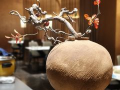 -阿露佳·舌尖上的安吉菜