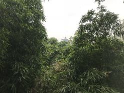 -馨月汇·一悦馨香月子中心(前滩店)