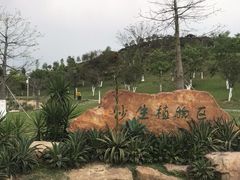 -东莞植物园