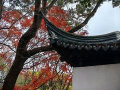 -秋霞圃