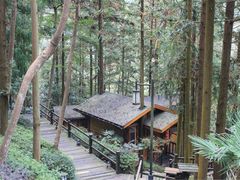 -天明山温泉大酒店
