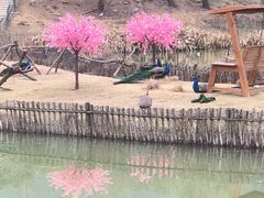 -无锡动物园·太湖欢乐园