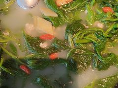 -羽鸽集·乳鸽专门店·地道顺德菜(岭南站店)