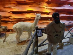 -酷嗒动物文化乐园(cutezoo西溪乐天城店)