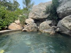 -仁爱团泊湖温泉中心