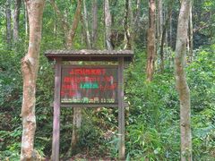 -姑婆山旅游区