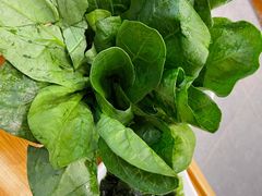 -云中鱼蒸汽石锅鱼(川沙百联店)