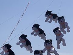 -潍坊滨海云门国际风筝放飞场