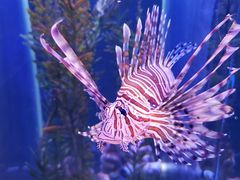 -波塞冬旅游度假区