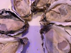 -千岛蚝高压锅生蚝·人参火锅(白云万达店)