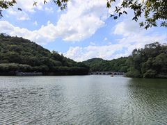 -李小龙乐园(顺德均安店)