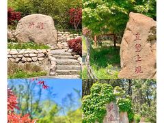 -竹子庵公园