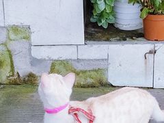 -山城巷传统风貌区