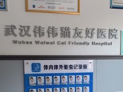 -伟伟宠物医院·瑞派猫友好医院·猫科(光谷店)