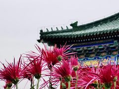 -天坛公园