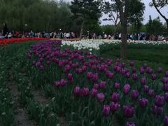 -长春公园(普阳街道)