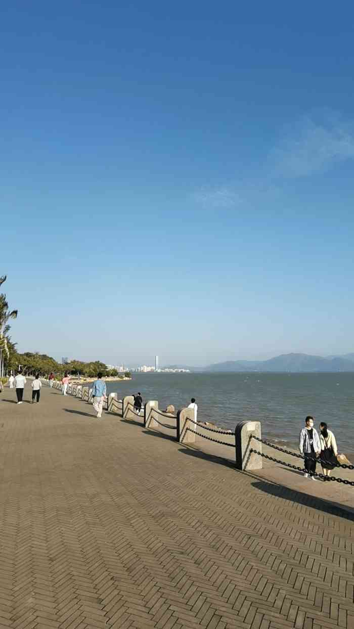 去哪里的话,以考虑和喜欢的人去骑骑车,沿90红树林往深圳湾方向