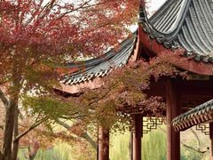 -堤角公园