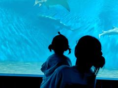 -北戴河圣蓝海洋公园