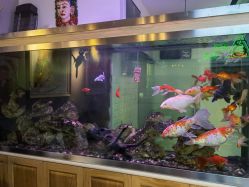 -雕哥的纹身店A3 TATTOO&纹身培训