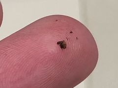 -85度C(南京龙江店)