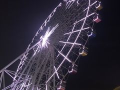 -琴岛之星摩天轮