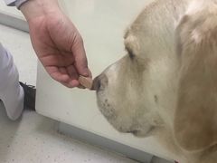 -全心全意连锁动物医院(加州店)