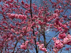 -名花谷生态庄园