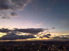 -长虫山生态公园风景林
