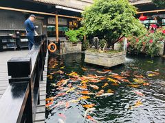 景观位-猪肉婆私房菜(容桂总店)