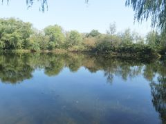 -溱湖国家湿地公园