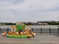 -上海长兴岛郊野公园