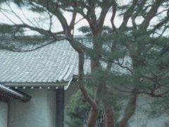 -醍醐寺