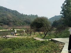 -南国桃园旅游度假区