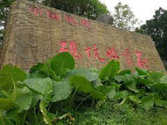 景点-紫云谷景区