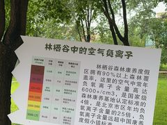 -林栖谷森林康养度假区
