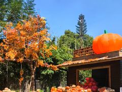 -HERRE·FARM 赫尔露营农场·团建聚会包场