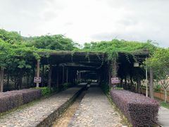 -云水谣景区