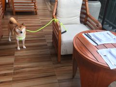 -上海崇明金茂凯悦酒店