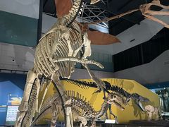 -湖南省地质博物馆