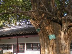 -苏州文庙(姑苏区)