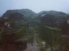 -枸杞岛