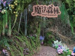 -龙湾潭国家森林公园