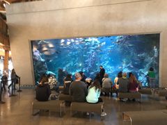 -西雅图水族馆