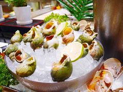 -长春高新益田福朋喜来登酒店·宜客乐标帜餐厅